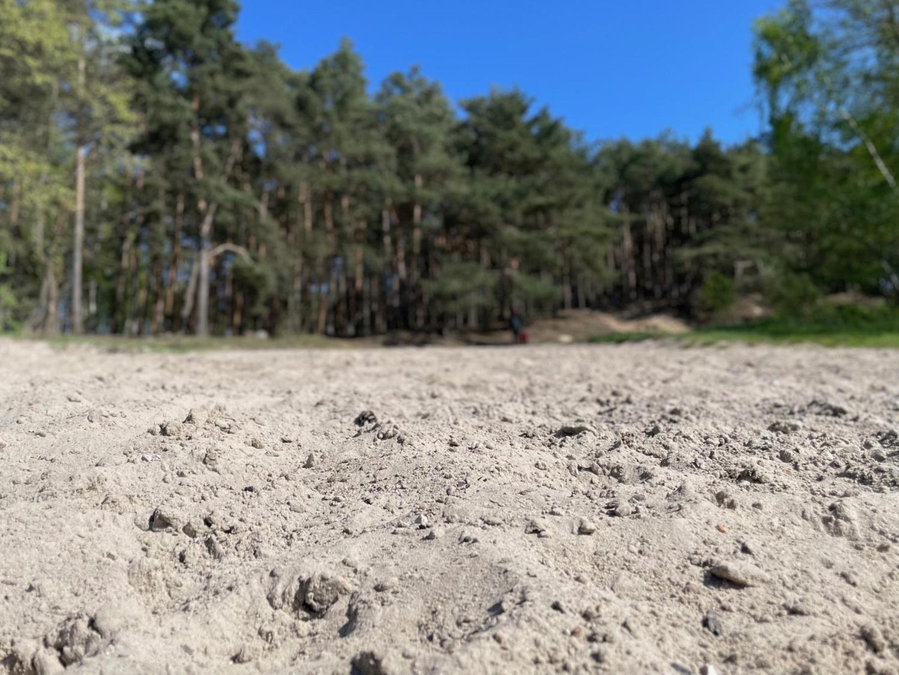 Natura Domki Anastazewo Экстерьер фото